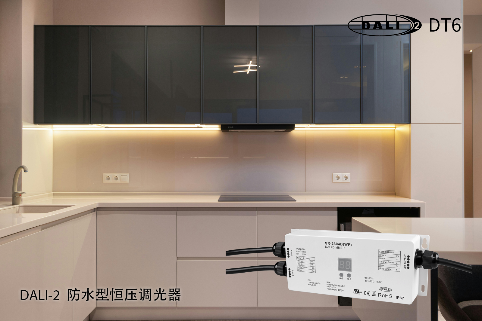 模板.jpg 模板.jpg